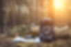Reduzieren_AdobeStock_352014871.jpeg