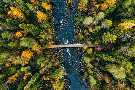 AdobeStock_295463105.jpeg