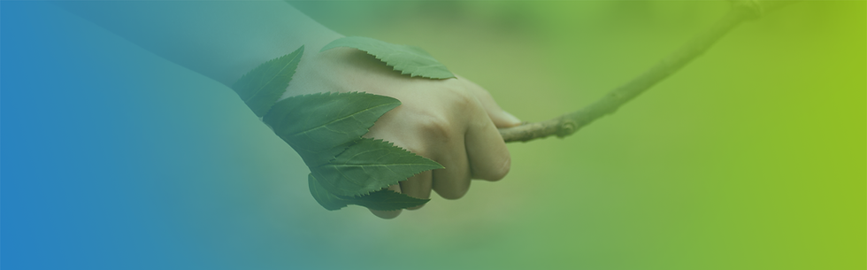 Hands Tree_Header_1790x558.png