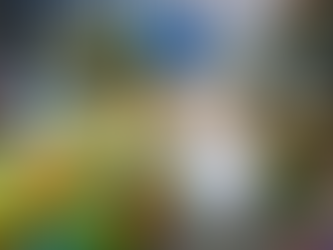 L’incubo di Iryna Zarutska: quando la realtà supera l’orrore