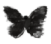 Transparent Logo.png