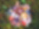 mushrooms_edited.jpg