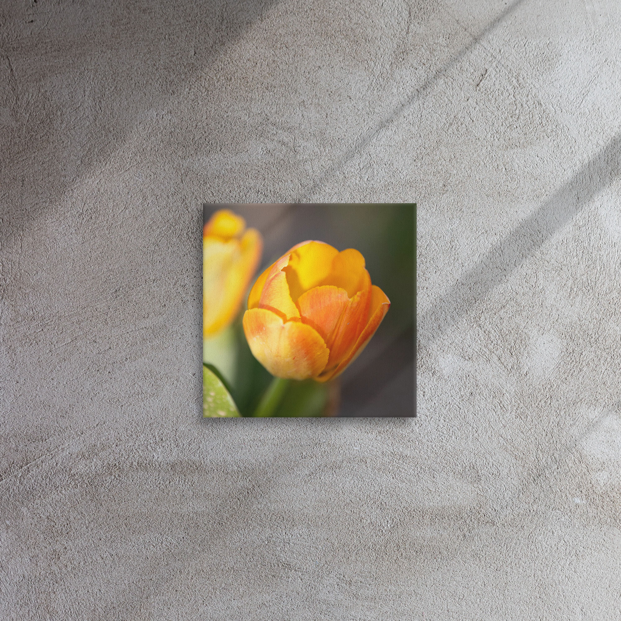 Tulip (Sun Yellow) on Thin Canvas