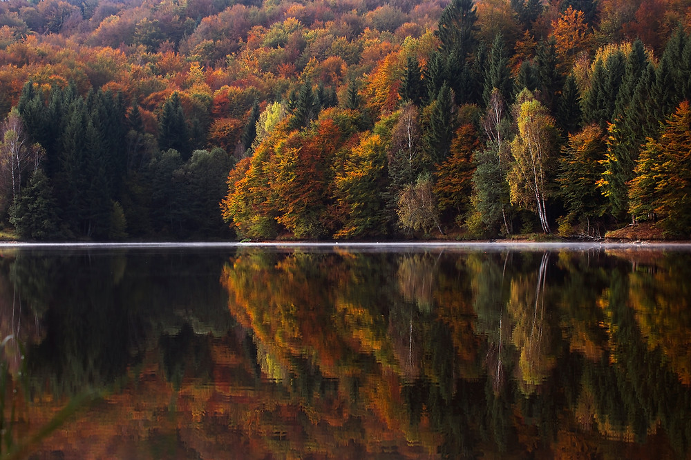 Fall foliage reflecting in water