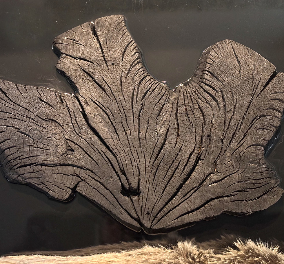 Miniaturbild: Ash Structure