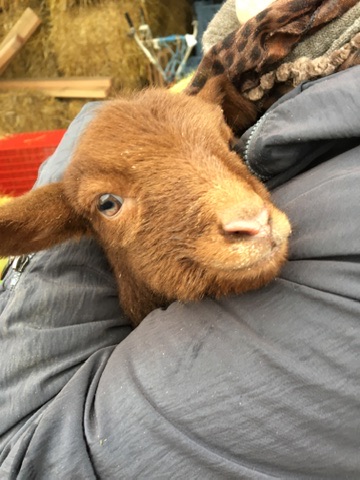 Photo du rédacteur: Amapassion