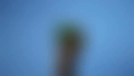 VFX Senior Thesis: Filming Live Plates