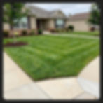 Well-maintained, striped residential lawn care