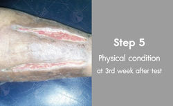PIX WEB_EN-05