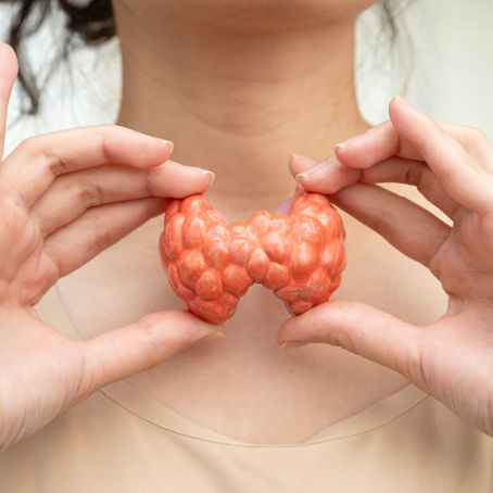 woman holding a plastic model of a thyroid in front of her throat 