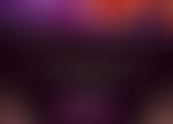 14th Annual Gala Tickets on Sale Now