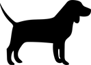 dog-03