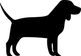 dog-04