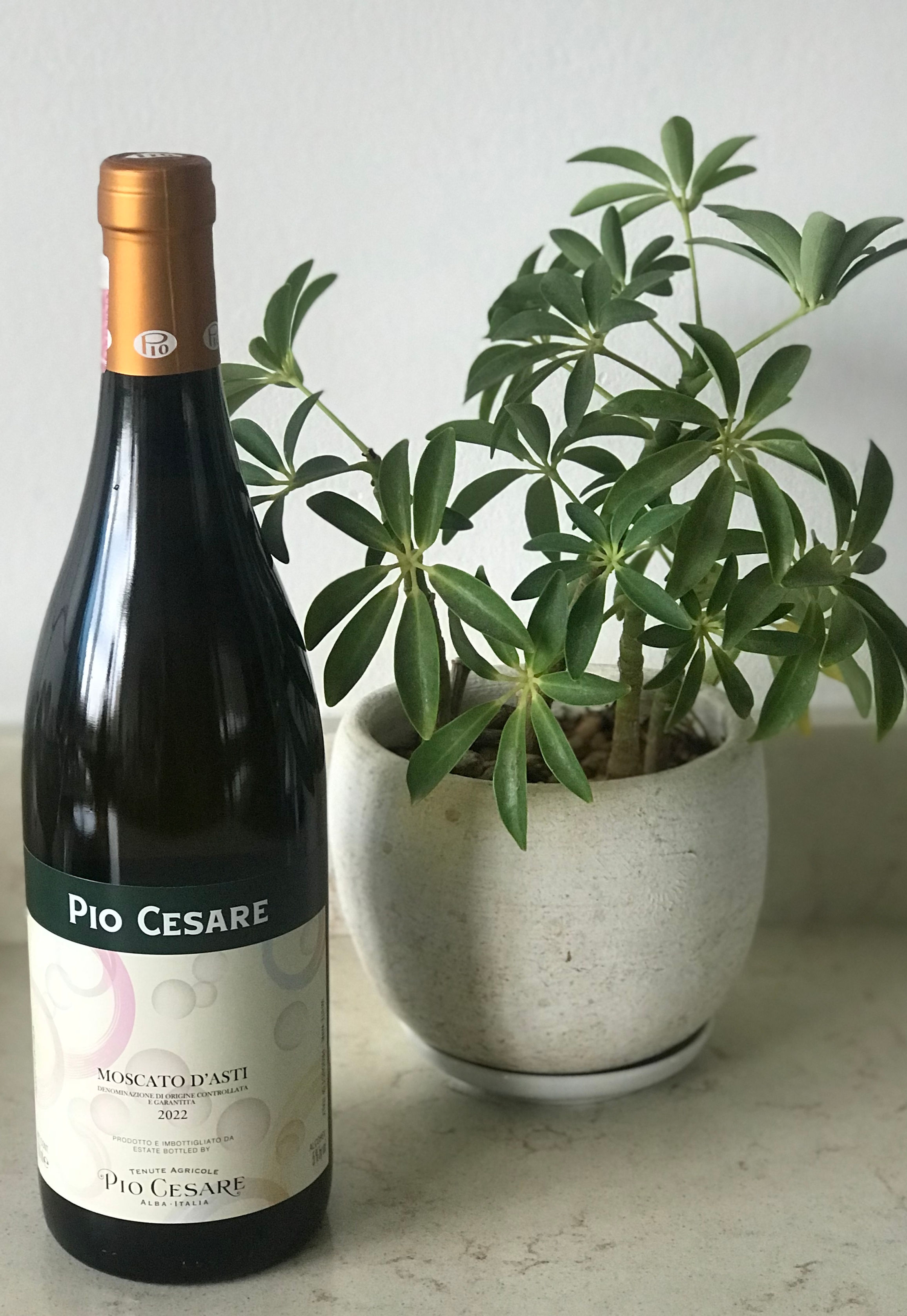 Moscato d'Asti DOCG Pio Cesare