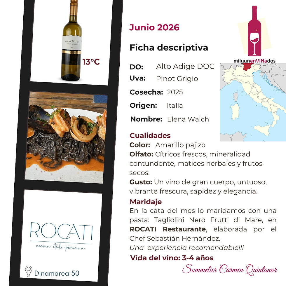 Miniatura: Pinot Grigio Alto Adige DOC Italia