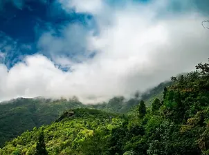 Darjeeling