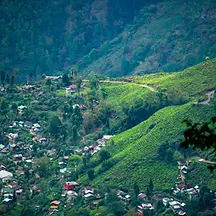 DARJEELING