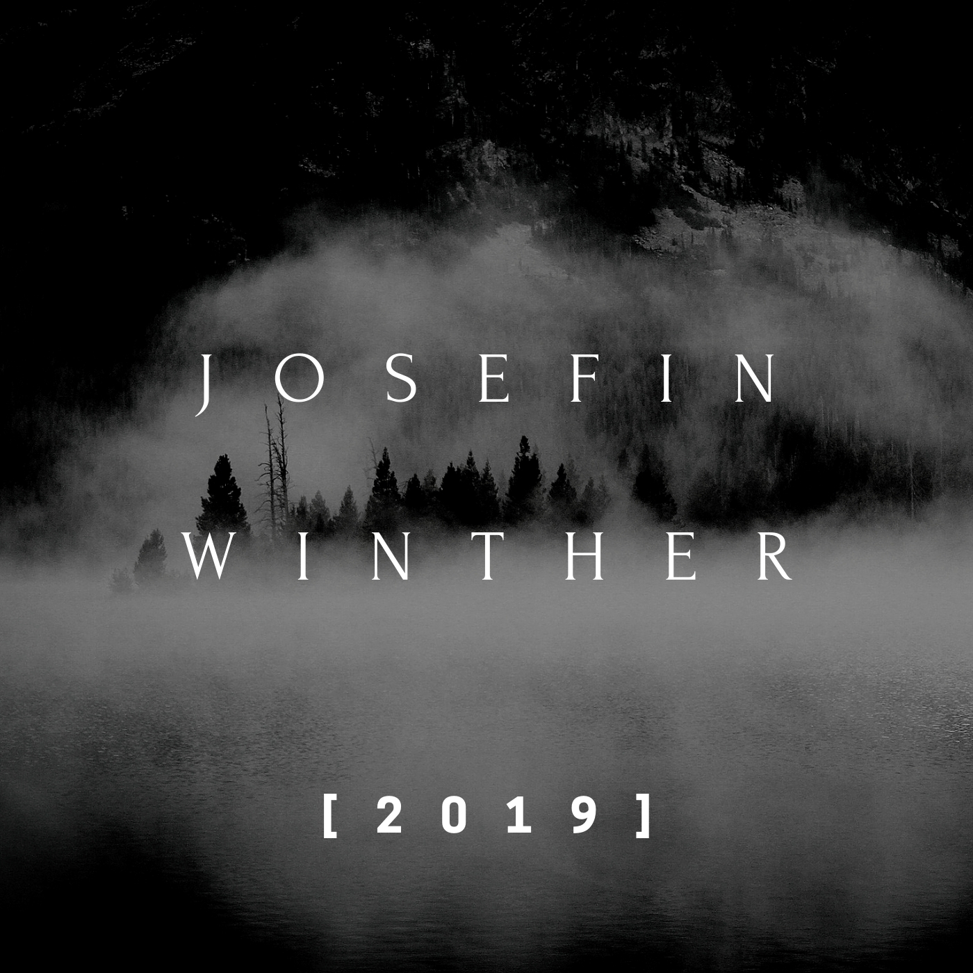 Upcoming album