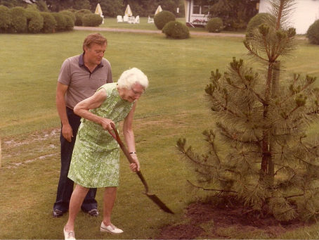 Tree Legacy Fund