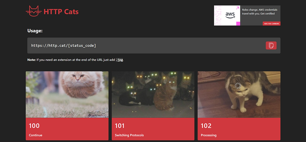 Veja essa API e galeria bem-humorada que transforma erros de servidor e respostas da web em imagens de gatos fofos e engraçados.
