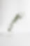 green leafed plant in glass jar_edited.jpg