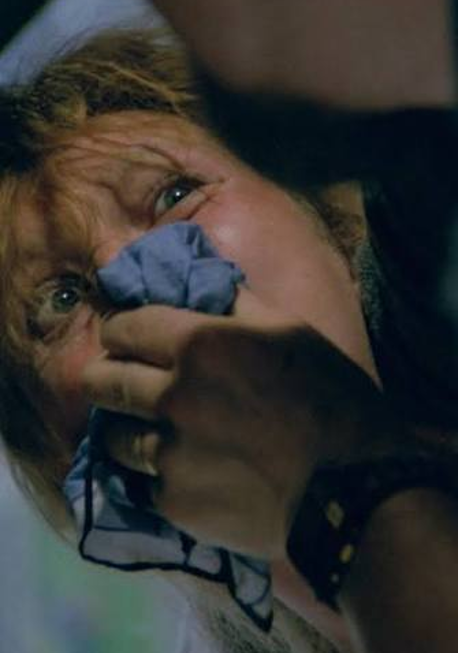 the vanishing 1988