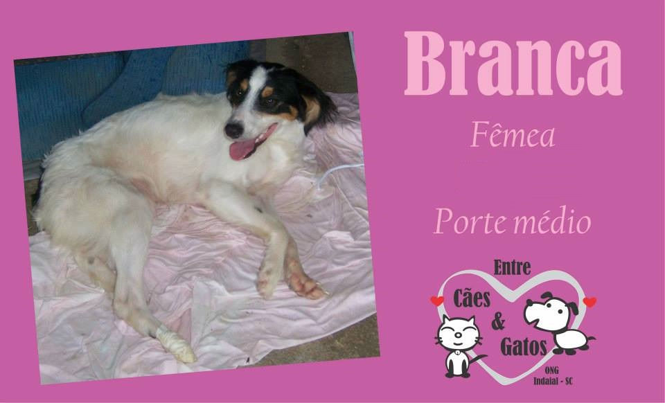 Branca