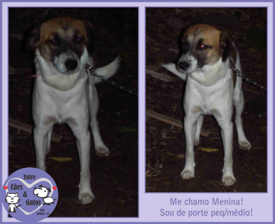 Menina