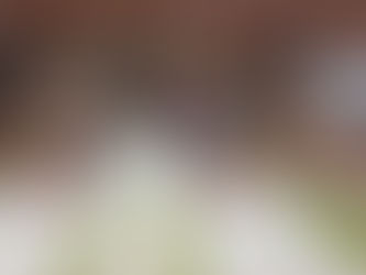 Immer wieder kommen die Kinder der Schulferienbetreuung