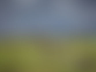 Бородино 2021