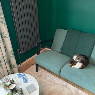 Cat sleeping on sofa.