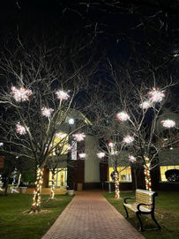 Municipal Lighting Gallery 20