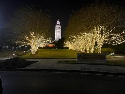 Municipal Lighting Gallery 10