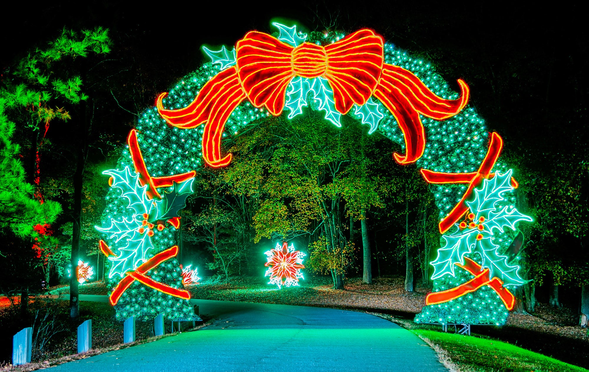 Holiday light display in a public park at night