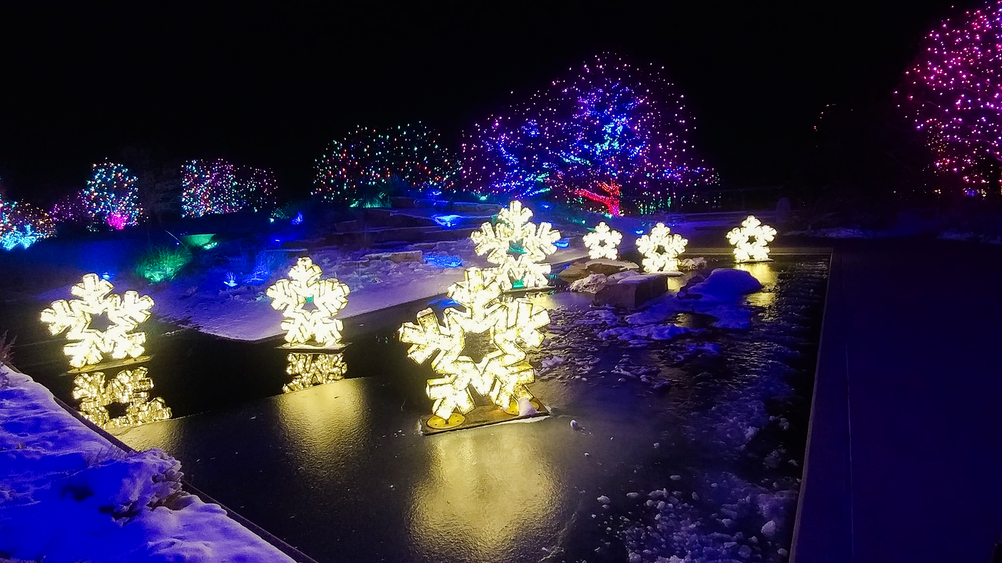 Holiday light display in a public park at night