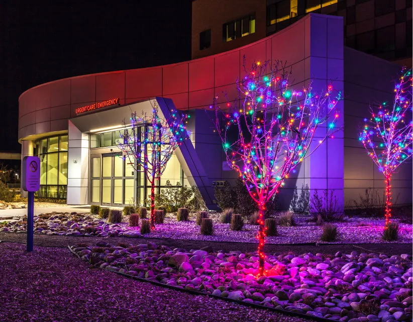 Commercial property trees wrapped in multicolor LED Christmas lights