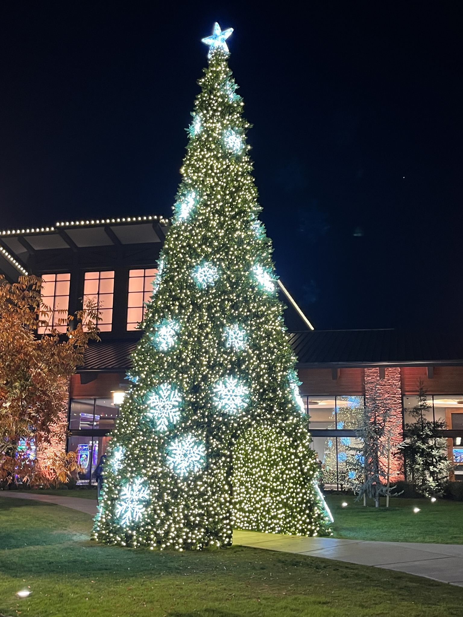 Giant Christmas tree with snowflake lights beside a building