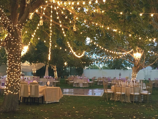 Outdoor reception with string lights draped from a tree over dinner tables