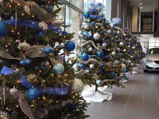 Row of decorated Christmas trees in a business showroom