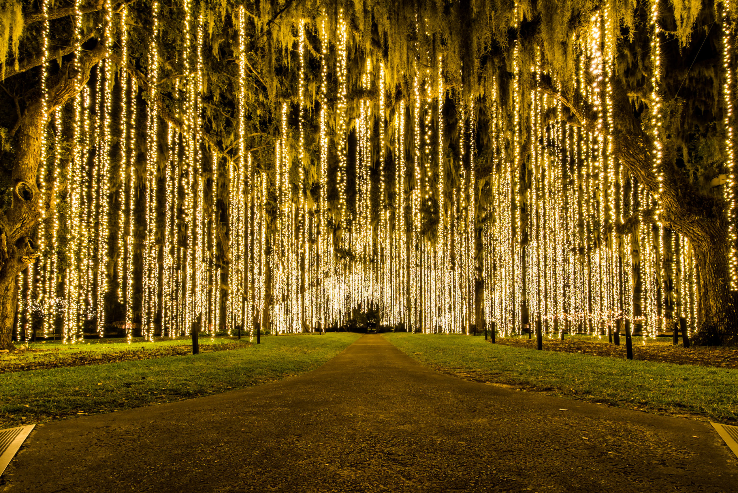 Holiday light display in a public park at night