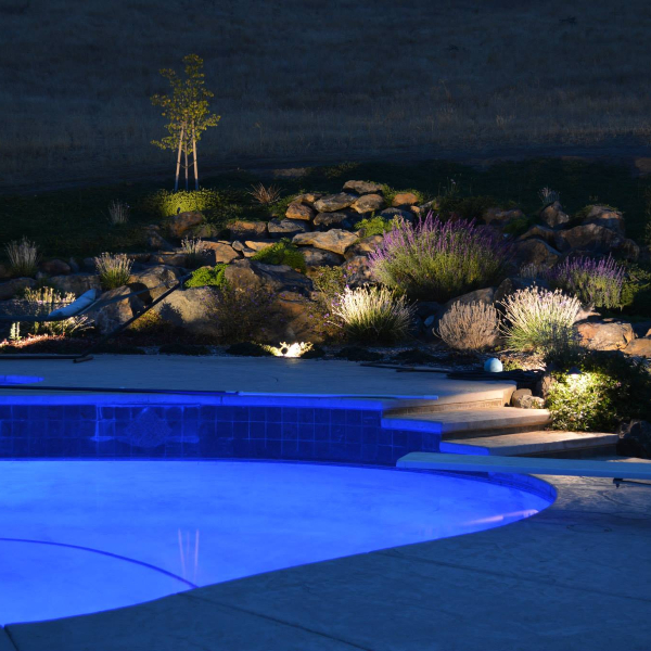 Backyard pool and rock garden lit with landscape lighting