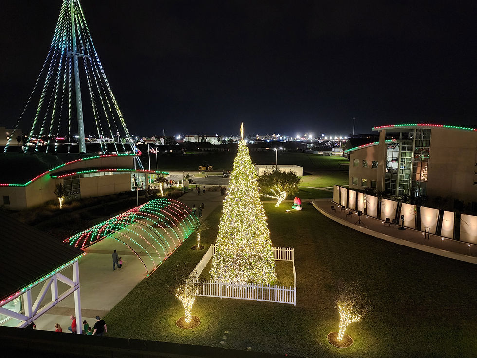 Where to See Christmas Lights in Corpus Christi: A Lighting Crew's Guide
