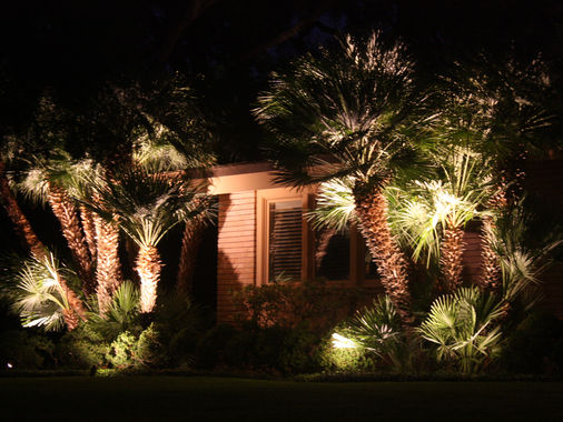 Palms and garden beds with landscape lighting beside a home