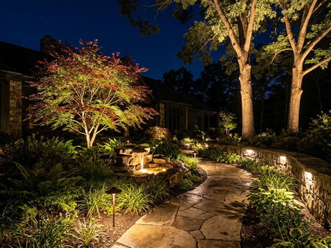 Landscape lighting backyard uplights path