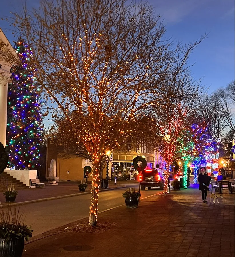 Downtown street trees wrapped in white Christmas lights