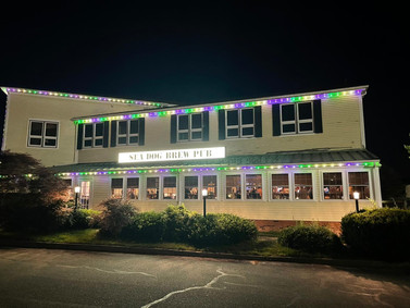 Restaurant & Hospitality Lighting by Curb Infusion 7