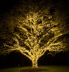 Christmas Lighting Company for HOAs in Dallas, TX