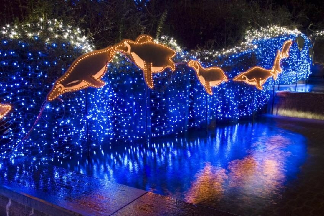 Trees wrapped in commercial-grade LED Christmas lights