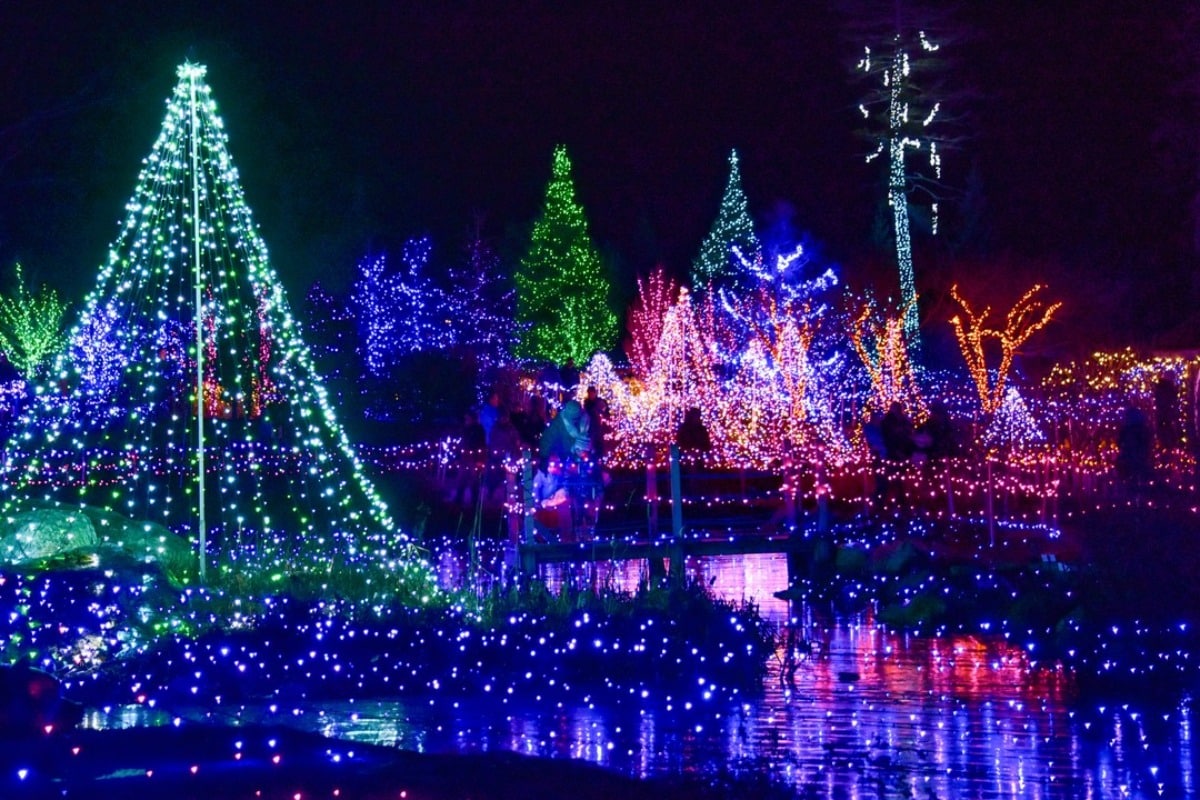 Downtown and public holiday lighting display at night