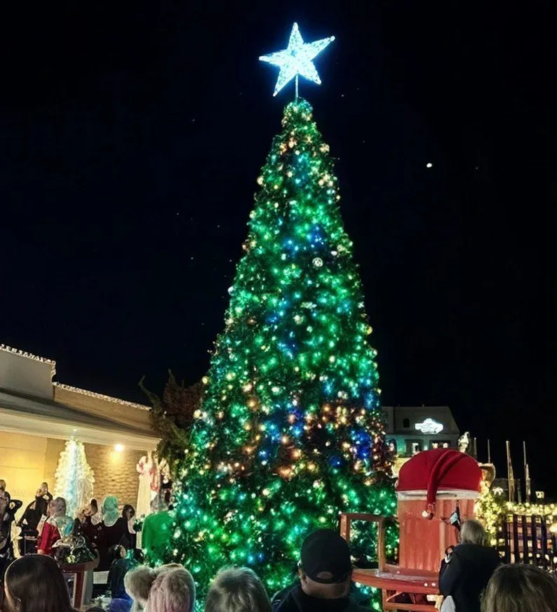 Crowd gathered around a lighted town Christmas tree at a holiday event